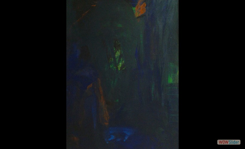 30 - LA NUIT DANS LA FORET, F50,116X81